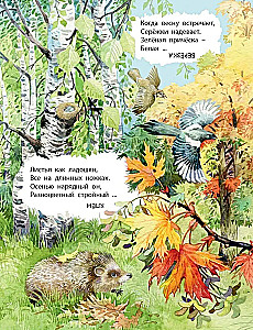 Was finden wir mit dir im Wald? Rätselverse