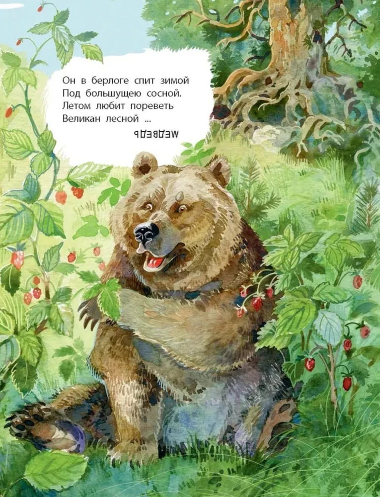Was finden wir mit dir im Wald? Rätselverse