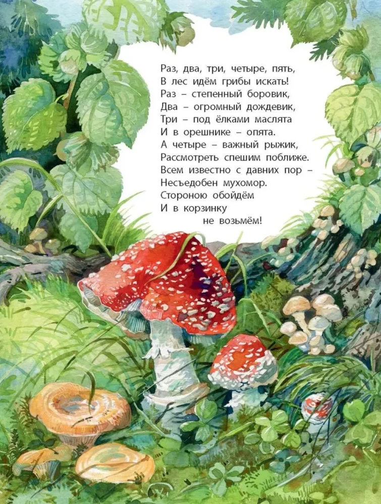 Was finden wir mit dir im Wald? Rätselverse