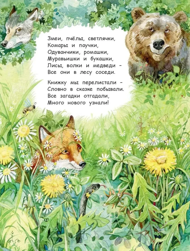 Was finden wir mit dir im Wald? Rätselverse