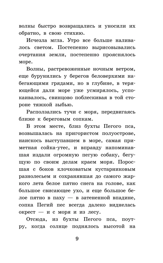 Pārgājušais suns, kas skrien gar jūru