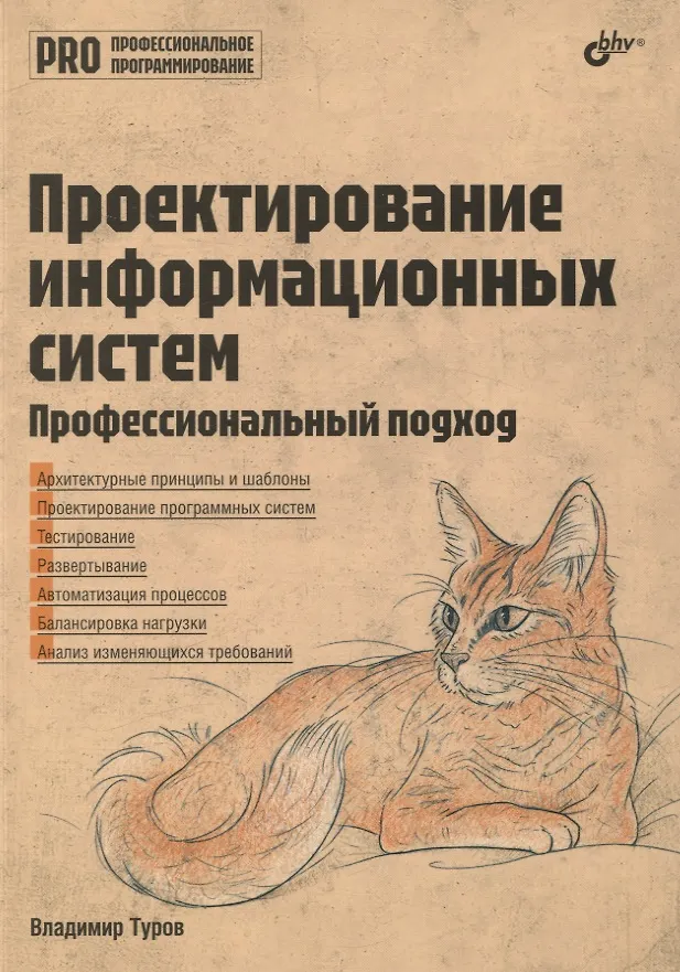 Designing Information Systems