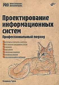 Designing Information Systems