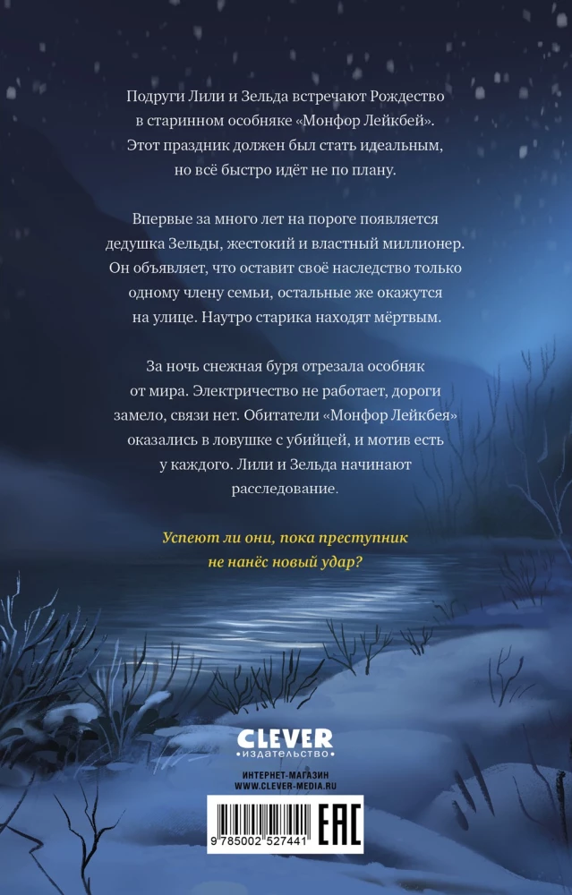 Detektyvai Lili ir Zelda. Dingusio testamento byla
