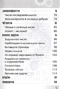 Развивающие головоломки. Нескучная математика для детей от 10 лет