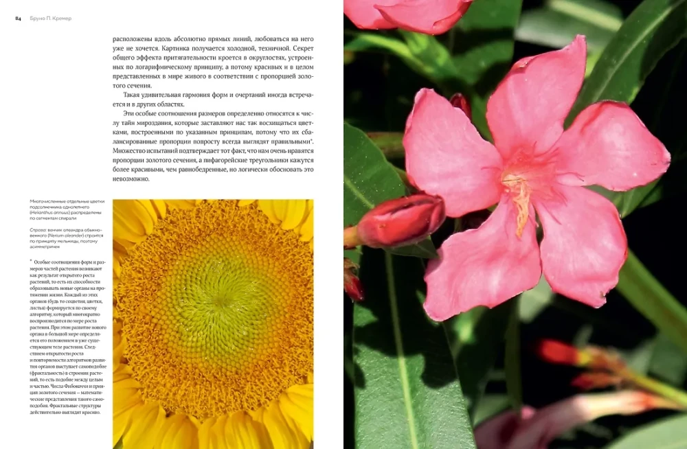 Blumen. Eine natürliche Geschichte