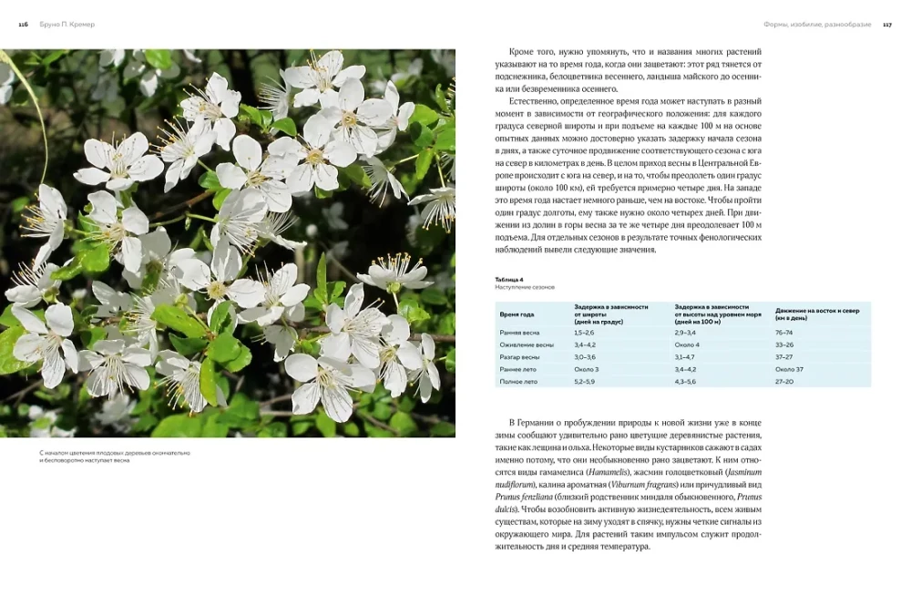 Blumen. Eine natürliche Geschichte