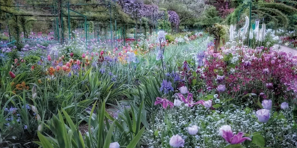 Claude Monet. Ideen des Impressionismus für den Alltag