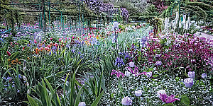 Claude Monet. Ideen des Impressionismus für den Alltag