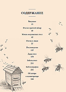 Bees. What humans and bees mean to each other