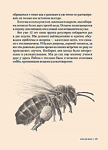 Bees. What humans and bees mean to each other