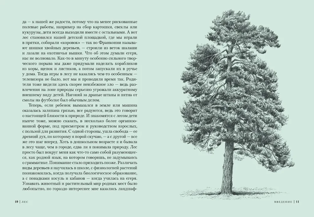 Wald. Wie funktioniert das Waldökosystem