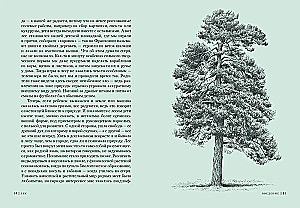 Wald. Wie funktioniert das Waldökosystem