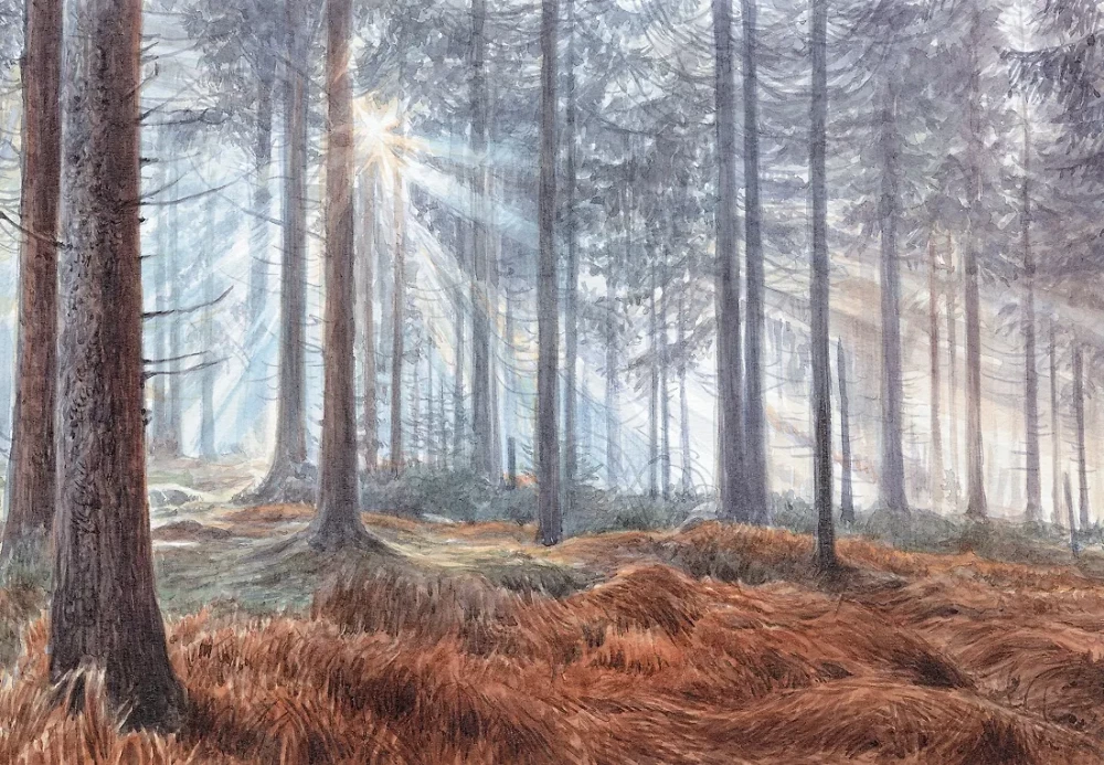 Wald. Wie funktioniert das Waldökosystem