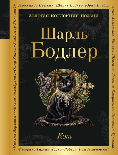 Katze