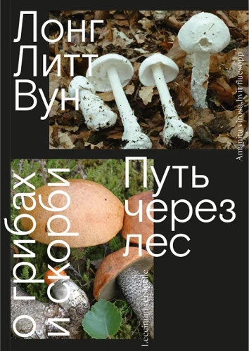 The Path Through the Forest. About Mushrooms and Grief