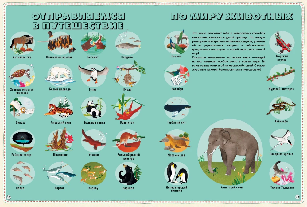 Atlas of Animals of the World in Pictures