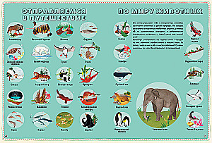 Atlas of Animals of the World in Pictures