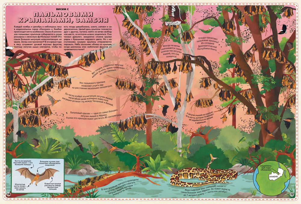 Atlas of Animals of the World in Pictures