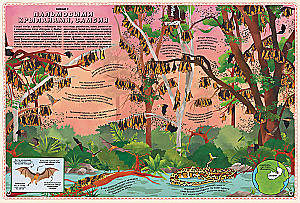 Atlas of Animals of the World in Pictures