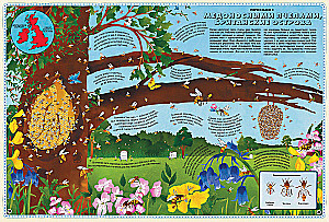 Atlas of Animals of the World in Pictures