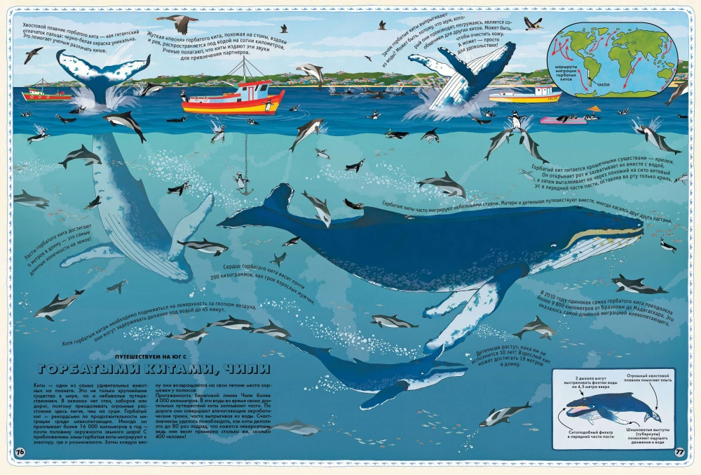 Atlas of Animals of the World in Pictures