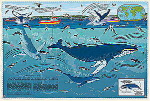 Atlas of Animals of the World in Pictures