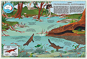 Atlas of Animals of the World in Pictures