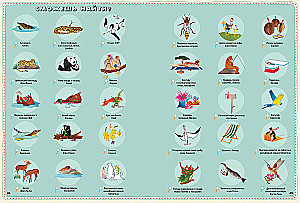 Atlas of Animals of the World in Pictures