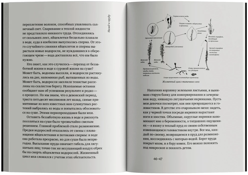 Życie na granicy. Naturalna i kulturalna historia mszaków