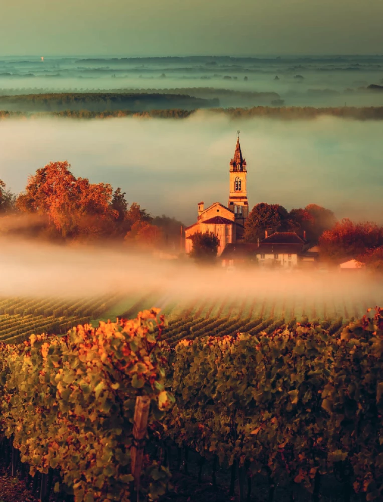 In Pursuit of Wine. Wine Tours in the Old World