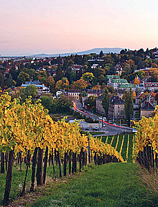 In Pursuit of Wine. Wine Tours in the Old World