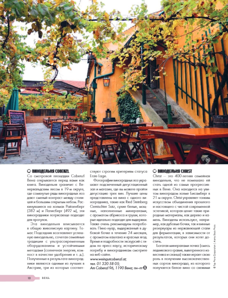 In Pursuit of Wine. Wine Tours in the Old World