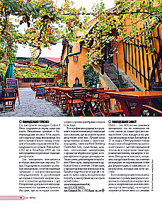 In Pursuit of Wine. Wine Tours in the Old World