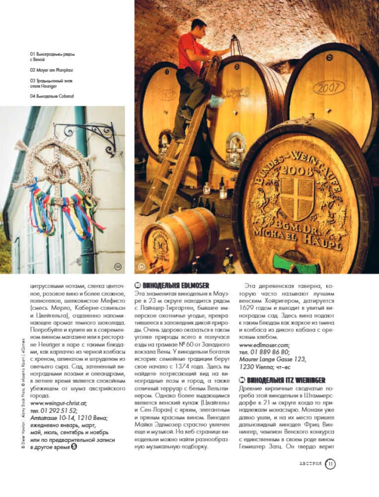 In Pursuit of Wine. Wine Tours in the Old World