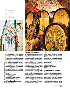 In Pursuit of Wine. Wine Tours in the Old World
