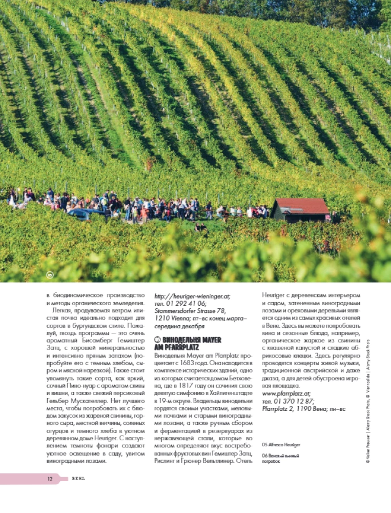 In Pursuit of Wine. Wine Tours in the Old World