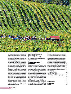 In Pursuit of Wine. Wine Tours in the Old World
