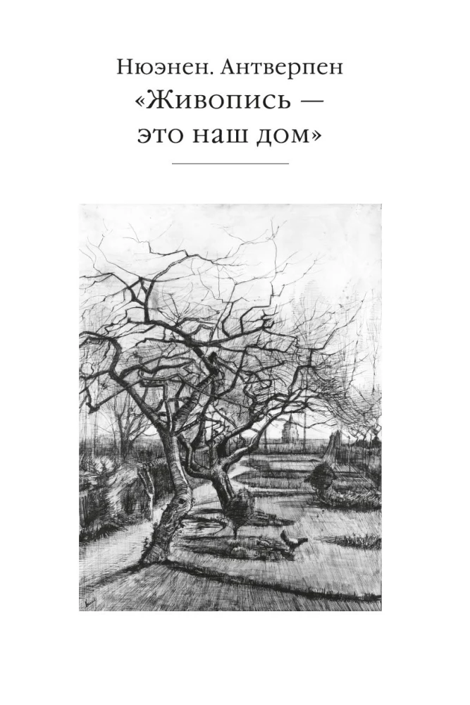 Мечтавший о солнце. Письма 1883–1890 годов