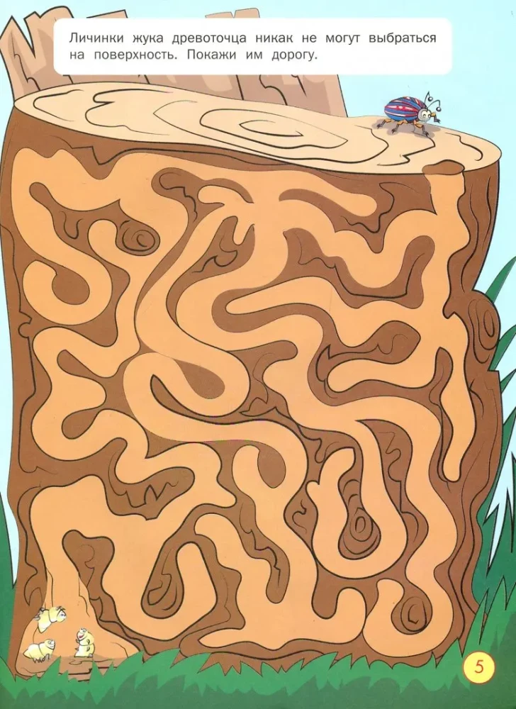 Labyrinths. Twisted Adventures