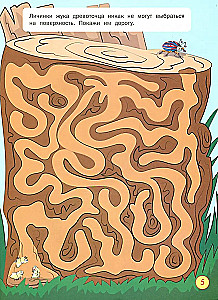 Labyrinths. Twisted Adventures