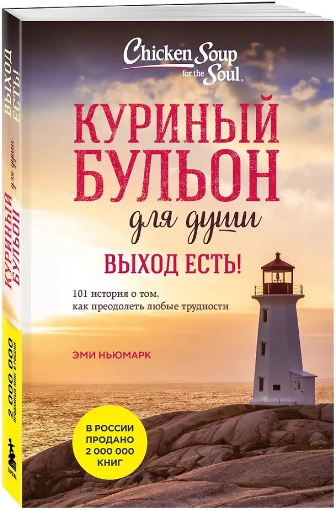 Vištienos sultinys sielai. Išeitis yra! 101 istorija apie tai, kaip įveikti bet kokias sunkumus