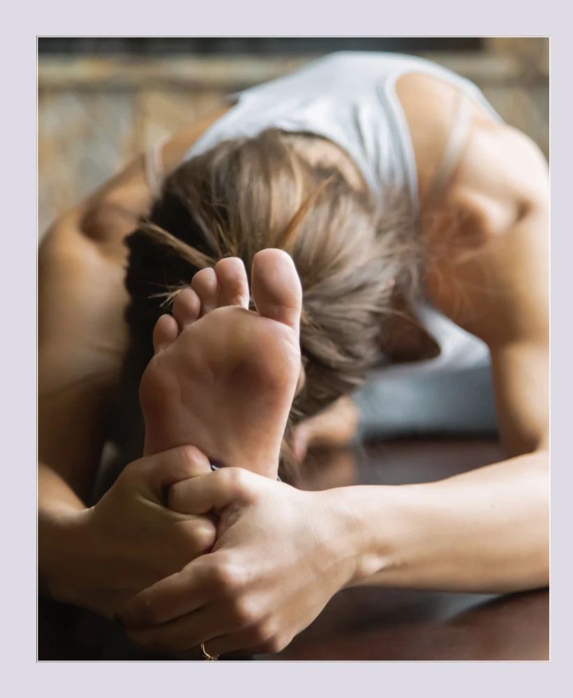 Anatomy of Bodyweight Exercises. How to Use Your Own Weight to 100%