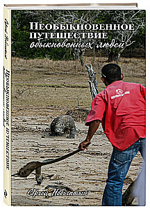 The Unusual Journey of Ordinary People