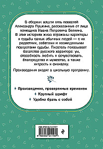 Belkin's Stories