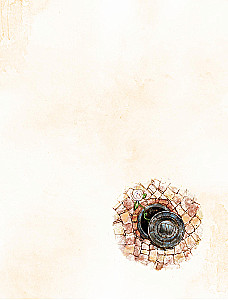 Veil. Volume 1