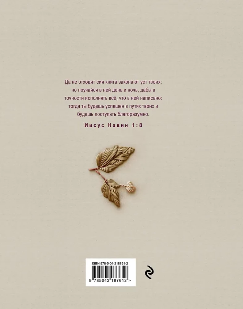 Biblija rusų sinodiniame vertime su vietomis užrašams