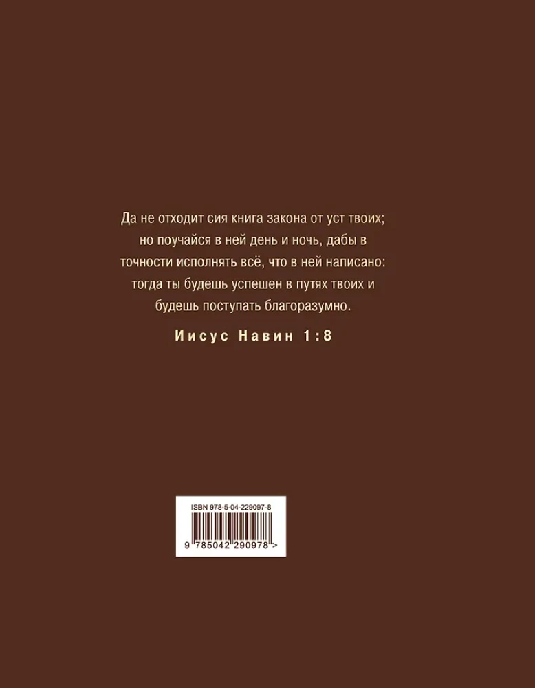 Die Bibel in der russischen synodalen Übersetzung mit Notizfeldern (braun)