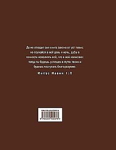 Die Bibel in der russischen synodalen Übersetzung mit Notizfeldern (braun)