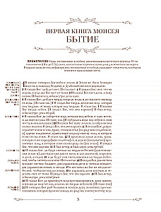 Die Bibel in der russischen synodalen Übersetzung mit Notizfeldern (braun)